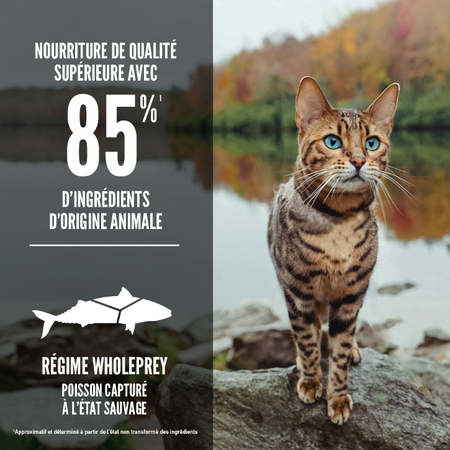 Orijen - Six poissons pour Chat. Bêtes Gourmandes, spécialiste en nourriture et produits pour chien et chat en ligne et en magasin à Québec.